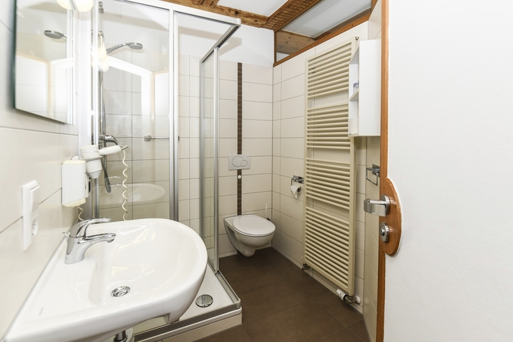 Badezimmer mit Dusche, WC, Waschbecken und Spiegel.