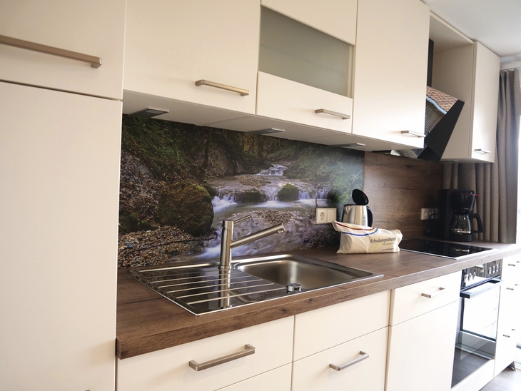Moderne Küche mit Spüle und Naturbild an der Wand.