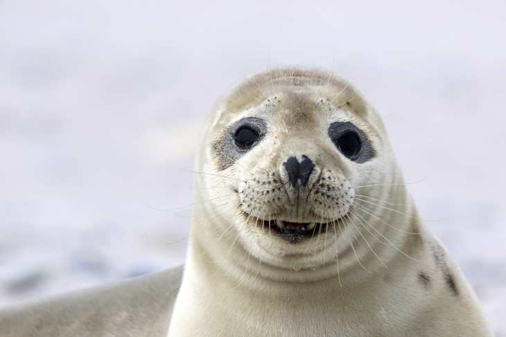 Ferienspass in Harlesiel - Herbstferien