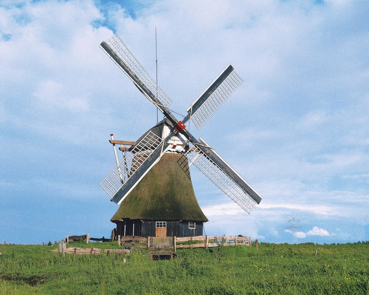 Ostfriesische Windmühle vor blauem Himmel und grüner Wiese.