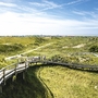 Holzbrücke über Dünenlandschaft auf Norderney unter blauem Himmel