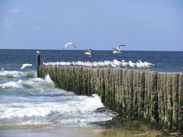 Strand Cadzand-Bad