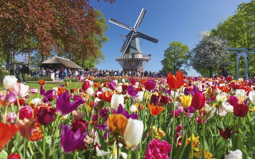 Keukenhof