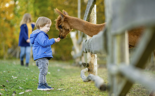 No description provided