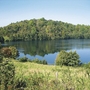 Blick auf einen See umgeben von Wiesen und Büschen mit bewaldetem Hügel im Hintergrund unter blauem Himmel mit Sonnenschein.