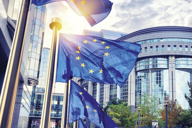 EU-Flaggen wehen vor dem Europäischen Parlament in Brüssel.