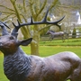 Bronzestatue eines Hirsches im Skulpturenpark vor unscharfem Hintergrund.