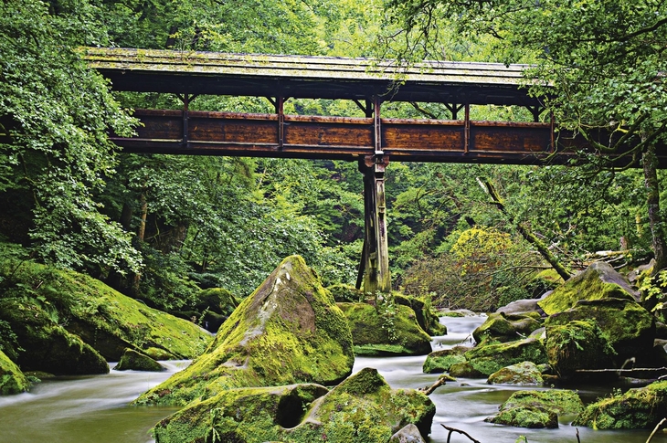 Holzbrücke über bewaldetem Fluss mit moosbedeckten Felsen.