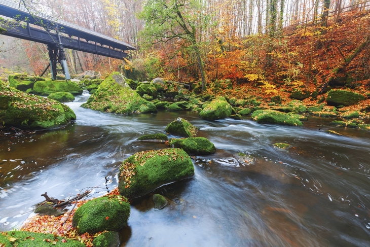 Fluss mit Steinen und Herbstbäumen nahe Irreler Wasserfälle in der Eifel.