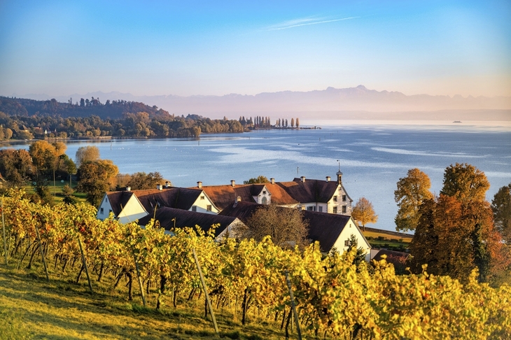 Bunte Blätter am Bodensee