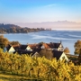 Herbst am Bodensee