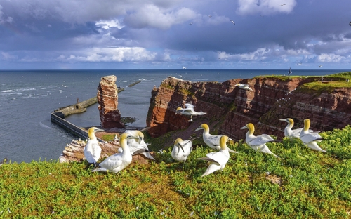 Helgoland - Lange Anna