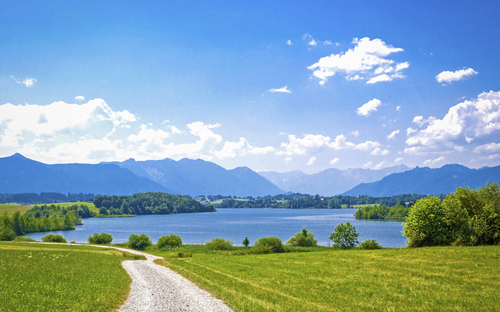 Radweg am Seeufer mit Alpen im Hintergrund und blauem Himmel.