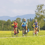 Radfahrer auf einer grünen Wiese mit Alpen im Hintergrund.
