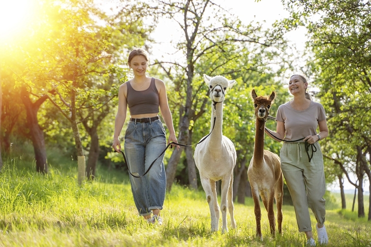 Goldener Oktober in Oberbayern
