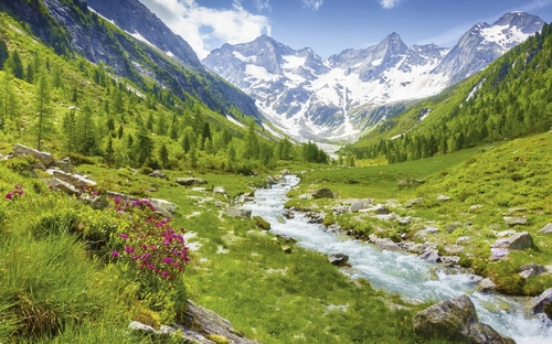 No description provided