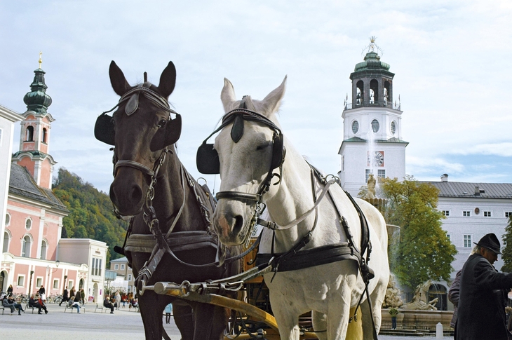 Zwei Pferde mit Fiaker vor historischen Gebäuden in Salzburg.