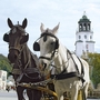 Zwei Pferde mit Fiaker vor historischen Gebäuden in Salzburg.