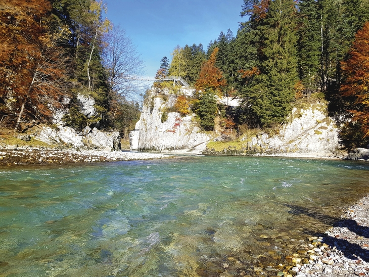 Klarer Fluss in einer herbstlichen Schlucht mit buntem Laub und Felsen.