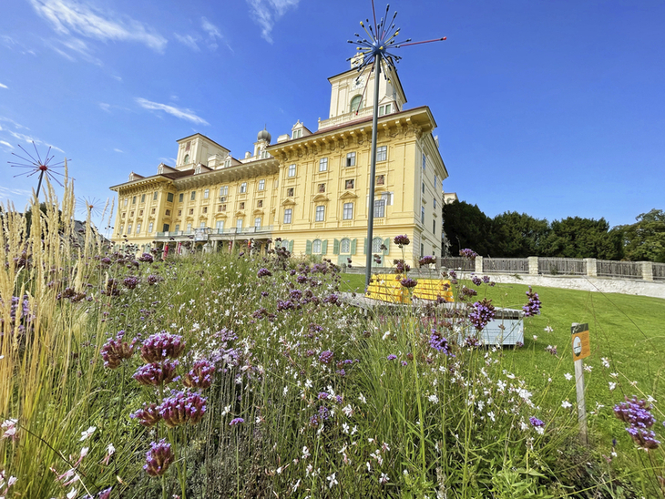 Schloss Esterházy mit blühendem Garten im Vordergrund bei klarem Himmel.