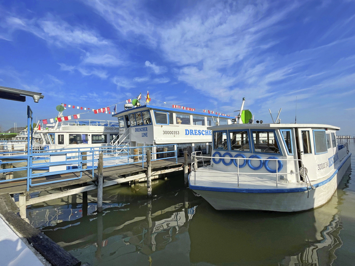 Boote an einem Steg am Neusiedler See bei klarem Himmel.