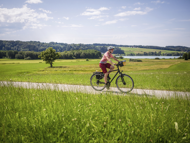 Radfahrerin auf einem Weg am Chiemsee mit Blick auf Wiesen und Wälder.