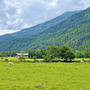 Weide Obere Drau