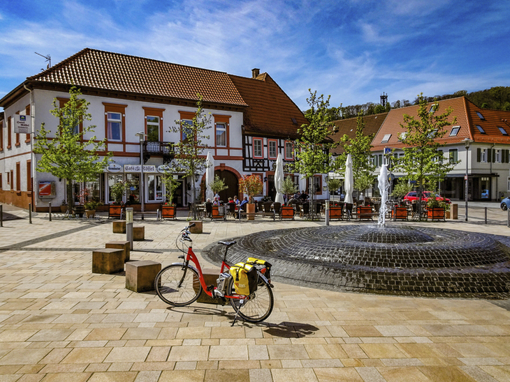 Rhein-Radweg III - Von Straßburg nach Mainz
