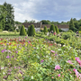 Blumenreicher Park des Schlosses Chenonceau mit Garten und Bäumen im Hintergrund.