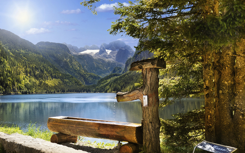 Holzbrunnen und Bäume am Ufer des klaren Gosausees in den österreichischen Alpen.