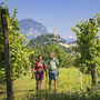 Wanderer in den Weinreben der Friaul-Julischen Alpen mit Berg und Dorf im Hintergrund