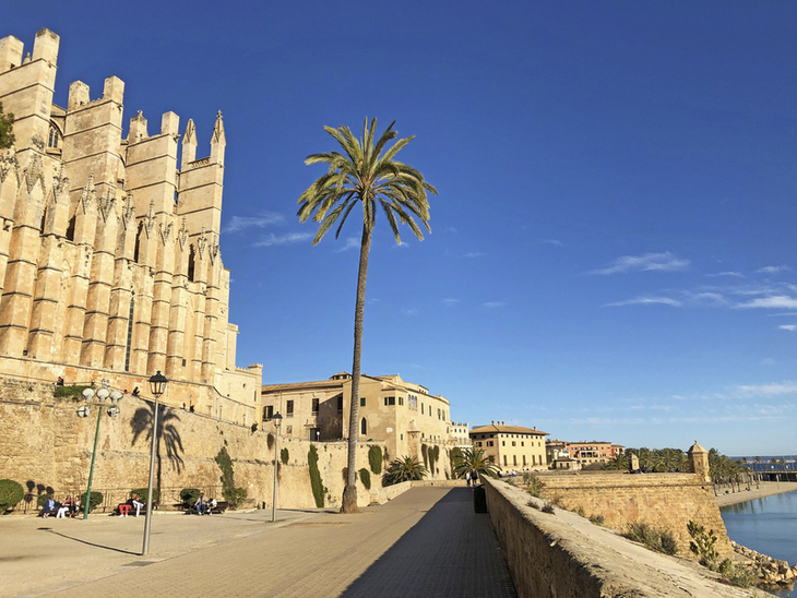 Kathedrale von Palma de Mallorca mit Palme und Küstenlinie im Vordergrund.