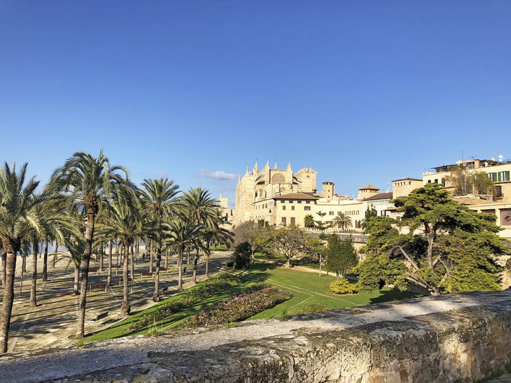Blick auf Kathedrale von Palma mit Palmen und blauem Himmel.