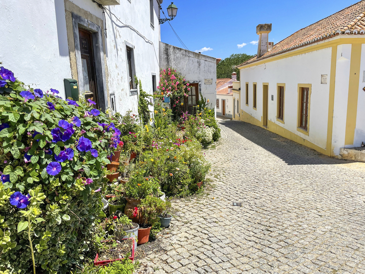 Blumengeschmückte Kopfsteinpflasterstraße in einem malerischen portugiesischen Dorf.