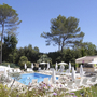 Hotel-Poolbereich mit Liegen und Sonnenschirmen, umgeben von Bäumen und Pflanzen.