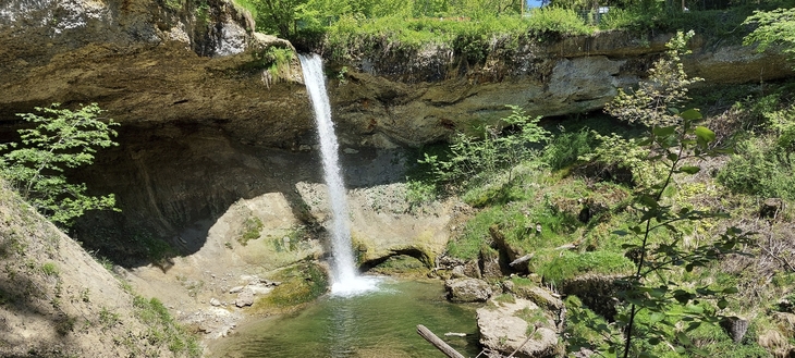 Wasserfall bei Scheidegg mit üppigem Grün, ein heller Wasserstrahl fällt in einen kleinen Teich.
