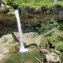 Wasserfall bei Scheidegg mit üppigem Grün, ein heller Wasserstrahl fällt in einen kleinen Teich.