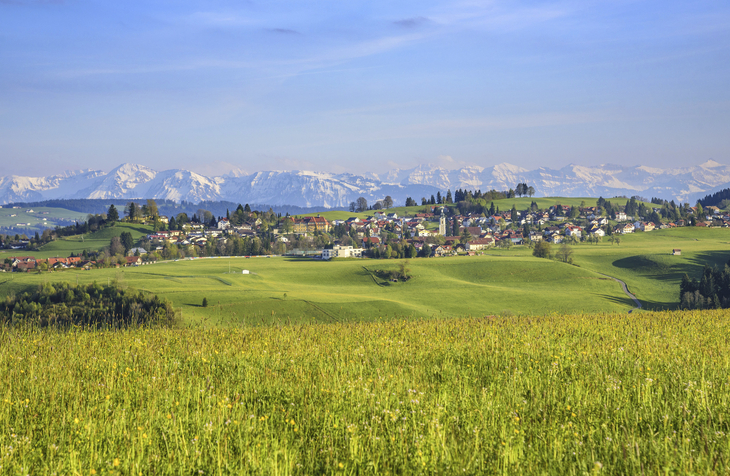 Landschaft in Scheidegg mit grünen Feldern und schneebedeckten Bergen im Hintergrund.