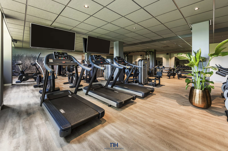 Fitnessstudio mit Laufbändern und Pflanzen in modernem Raum.