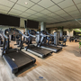 Fitnessstudio mit Laufbändern und Pflanzen in modernem Raum.