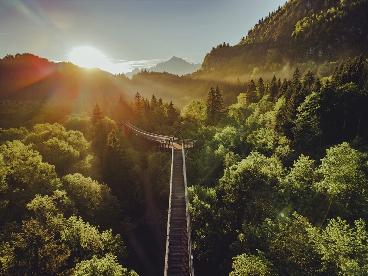 Sonnenaufgang über einem Wald mit Fußgängerbrücke im Vordergrund.