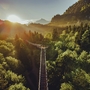 Sonnenaufgang über einem Wald mit Fußgängerbrücke im Vordergrund.