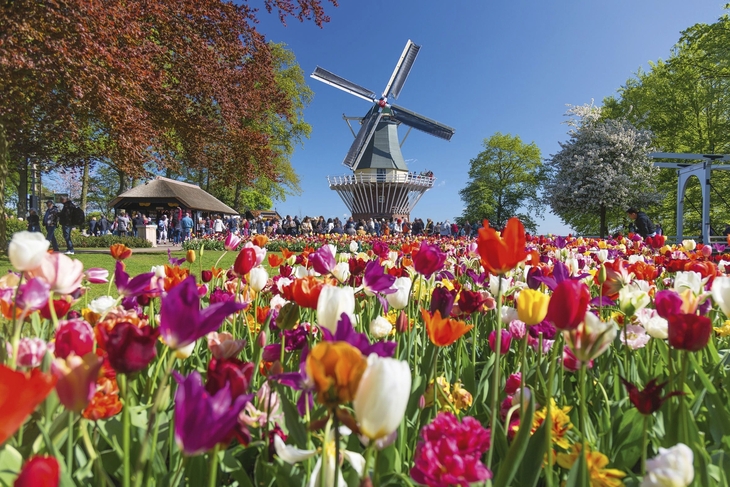 Cadzand-Bad - Amsterdam - Keukenhof: Nordseetraum & Blütenmeer