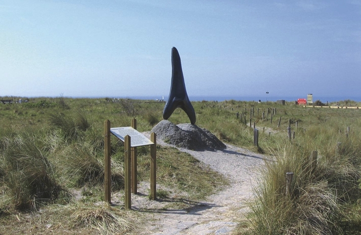 Skulptur eines großen Haifischzahns in einer Dünenlandschaft.