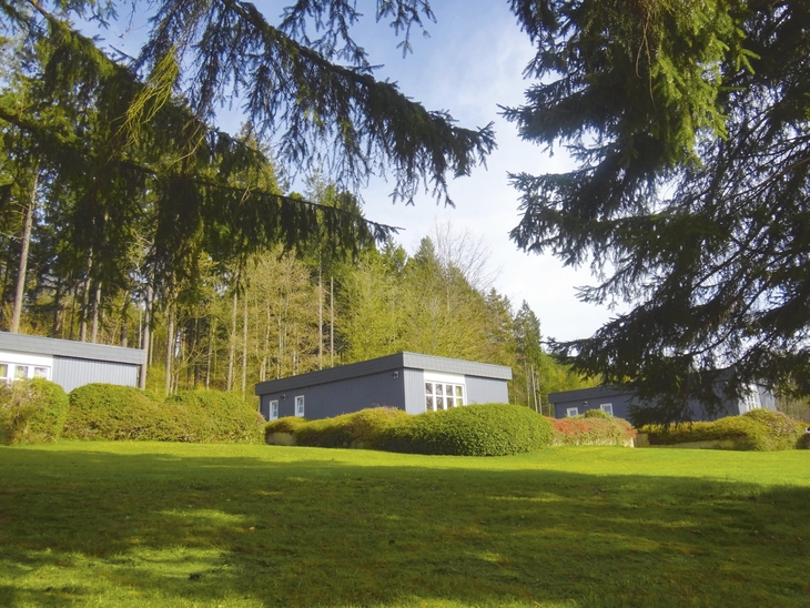 Anthrazitfarbene Bungalows mit Flachdach, der Ferienanlage Prüm, mit weißen Fenstern, auf einer grünen Wiese, umgeben von Bäumen bei Sonnenschein.