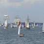 Mehrere Segelboote fahren auf einem offenen Meer.