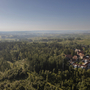 Luftaufnahme einer Waldlandschaft mit einem kleinen Dorf am Waldrand.