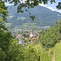 Blick über Meran mit Kirche und umliegenden Weinbergen vor Bergkulisse.