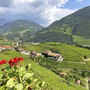 Blick auf Weinanbaugebiete und Dorf in hügeliger Landschaft bei Meran.