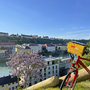 Fahrrad vor Blick auf Burghausen mit Fluss und blühendem Baum im Vordergrund.